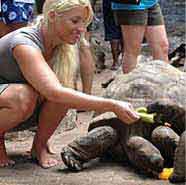 Collagen-SLIDER-1_01